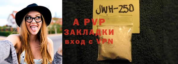 индика Балахна
