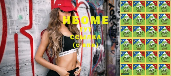 индика Балахна