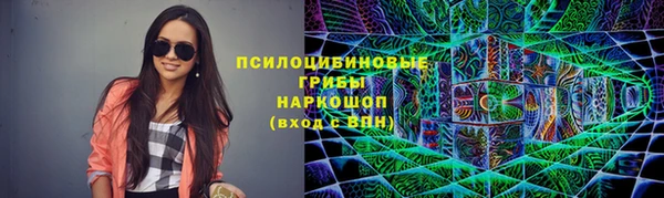 индика Балахна