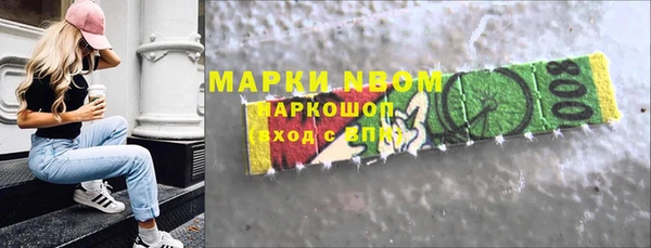 индика Балахна