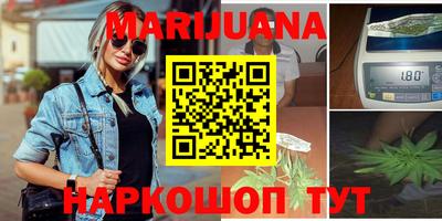 сатива Камышлов