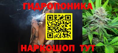 дживик Кандалакша