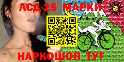 дживик Кандалакша