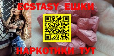 индика Кингисепп