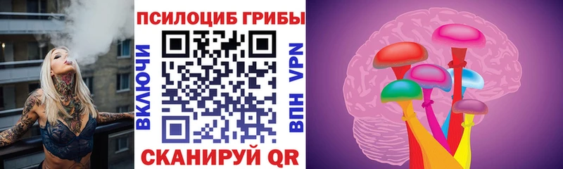 Псилоцибиновые грибы Psilocybine cubensis  Кунгур 