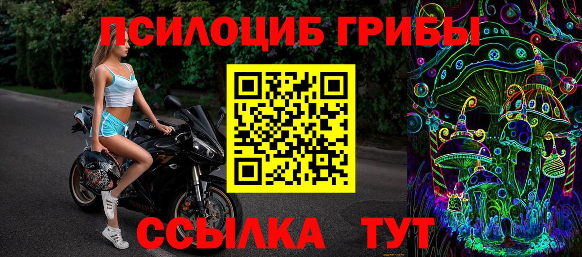 Галлюциногенные грибы Magic Shrooms  Вход с VPN  Кунгур  Галлюциногенные грибы прущие грибы 